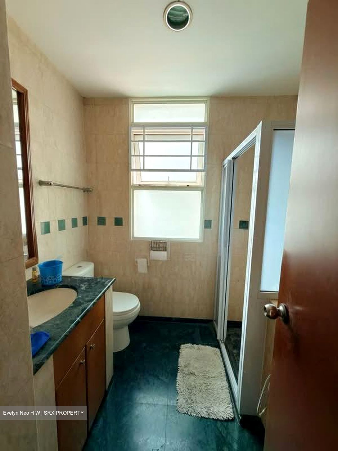 Evergreen Park (D19), Apartment #565046521